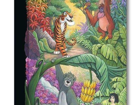 Disney Treasures: Home In The Jungle on Sale