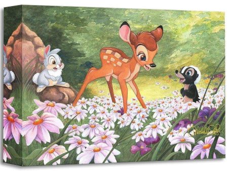 Disney Treasures: The Joy A Flower Brings For Discount