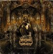 ABYSMAL TORMENT - CULTIVATE THE APOSTATE (CD) on Sale