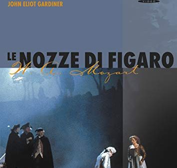 NOZZE DE FIGARO Online Sale