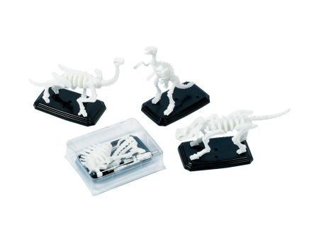 3-D Fossil Puzzle Favors 12pcs Supply